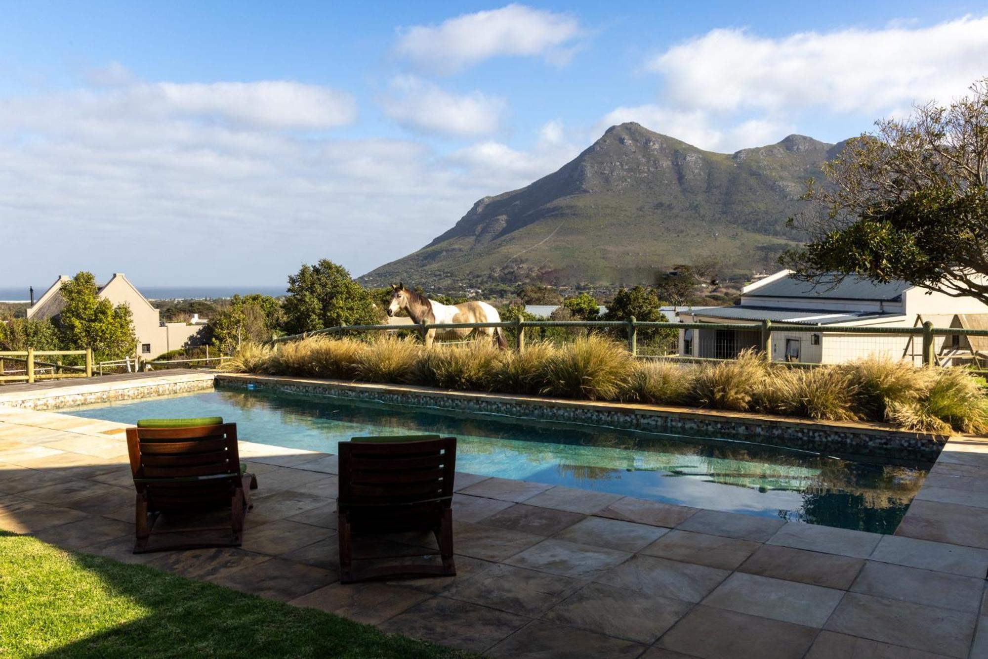 Serene, Thatched Apartment In Noordhoek, เคปทาวน์ ภายนอก รูปภาพ